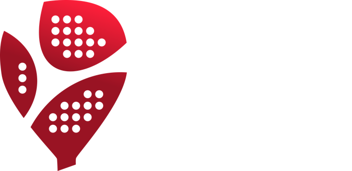 Mozzart Sport