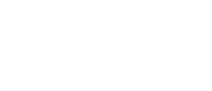 Sportska organizacija